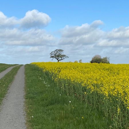 Blomstertantens Hus Trelleborg Εξωτερικό φωτογραφία