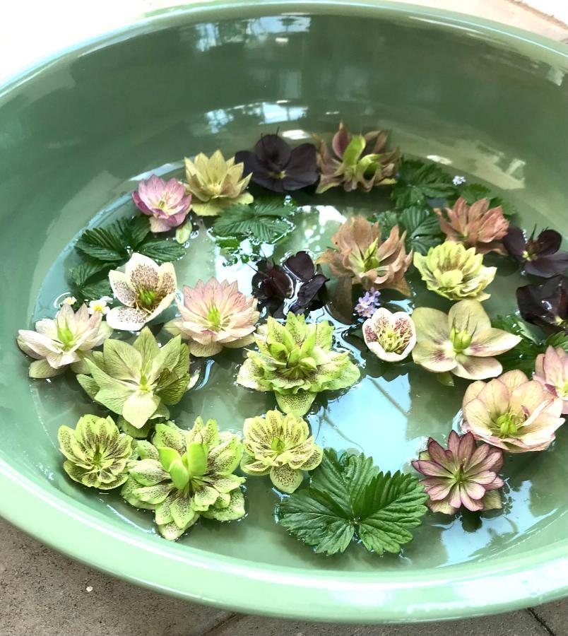 Blomstertantens Hus Trelleborg Εξωτερικό φωτογραφία