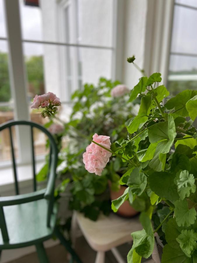 Blomstertantens Hus Trelleborg Εξωτερικό φωτογραφία