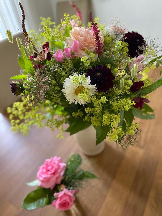 Blomstertantens Hus Trelleborg Εξωτερικό φωτογραφία
