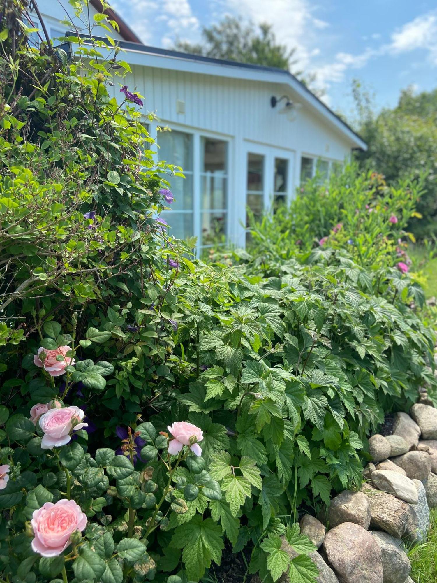 Blomstertantens Hus Trelleborg Εξωτερικό φωτογραφία