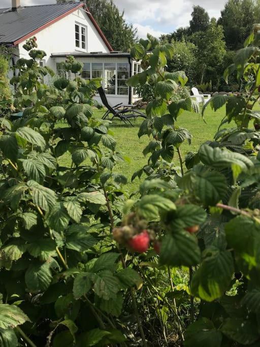 Blomstertantens Hus Trelleborg Εξωτερικό φωτογραφία