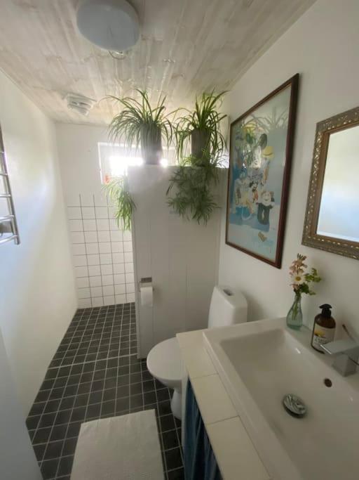 Blomstertantens Hus Trelleborg Εξωτερικό φωτογραφία